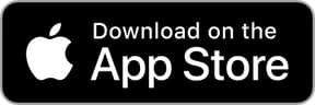 Download Fantasy Online 2 on the App Store